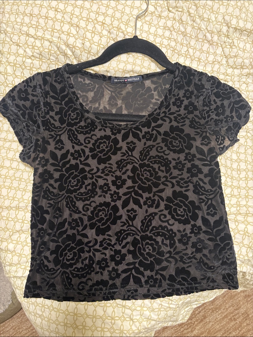 Brandy Melville Black Floral Velvet Burnout Crop Top